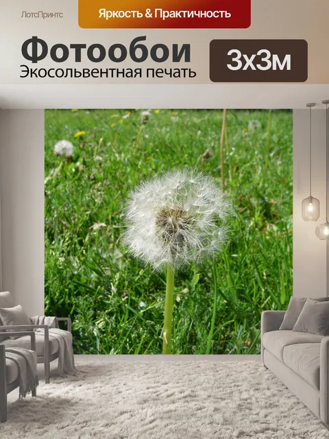 Фотообои Одуванчик