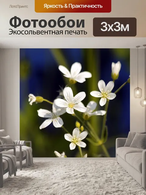 Фотообои Цветы