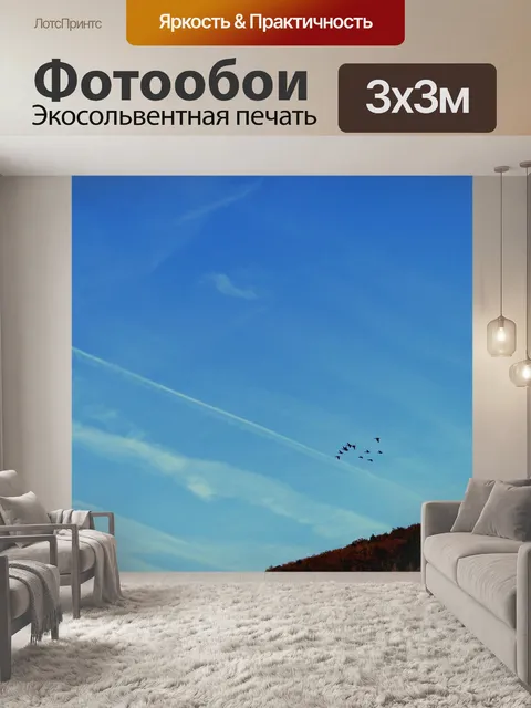 Фотообои Стая птиц
