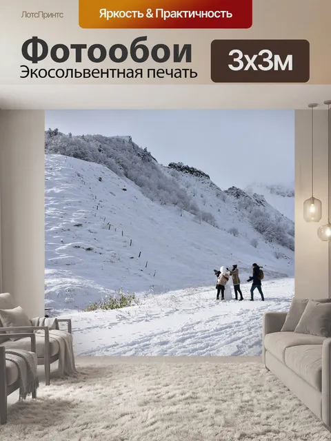 Фотообои Франция