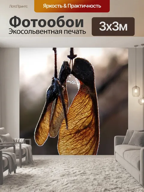 Фотообои Клен