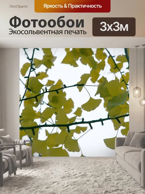 Фотообои Лист гинко