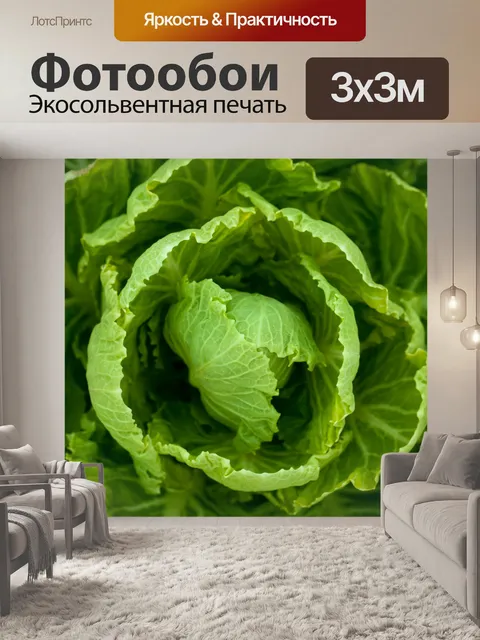 Фотообои растущей капусты