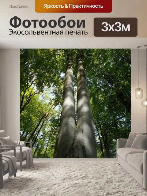 Фотообои Лес