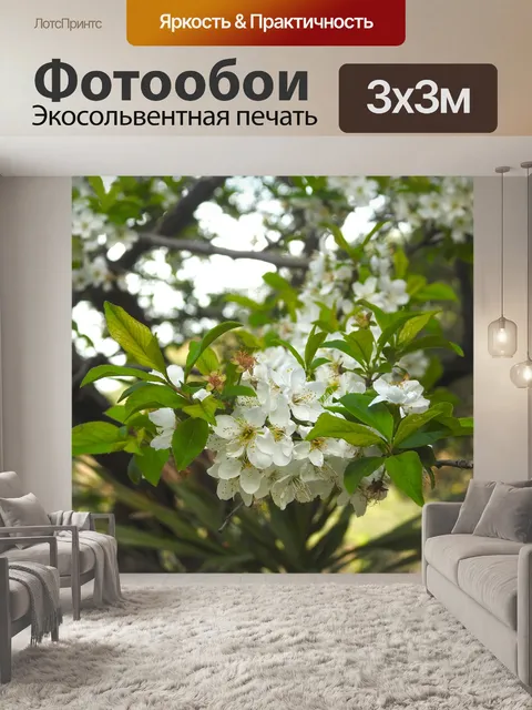 Фотообои Цветы