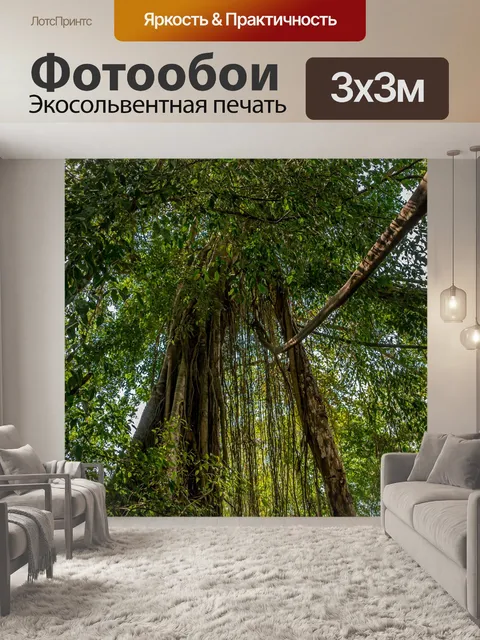 Фотообои Лес