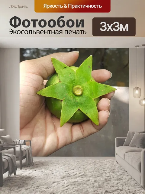 Фотообои Это
