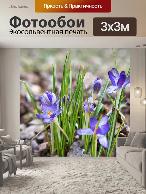 Фотообои Цветы