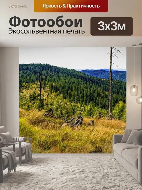 Фотообои Панорама