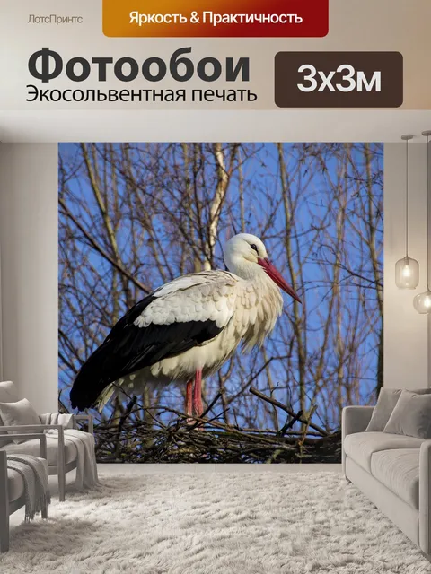 Фотообои Аист