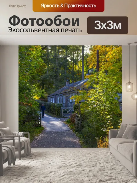 Фотообои Осенний лес
