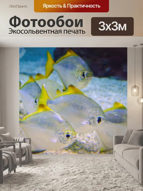 Фотообои Рыба
