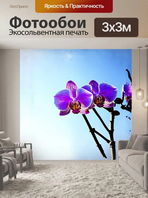 Фотообои расцветающая орхидея на фоне бледно-голубого неба