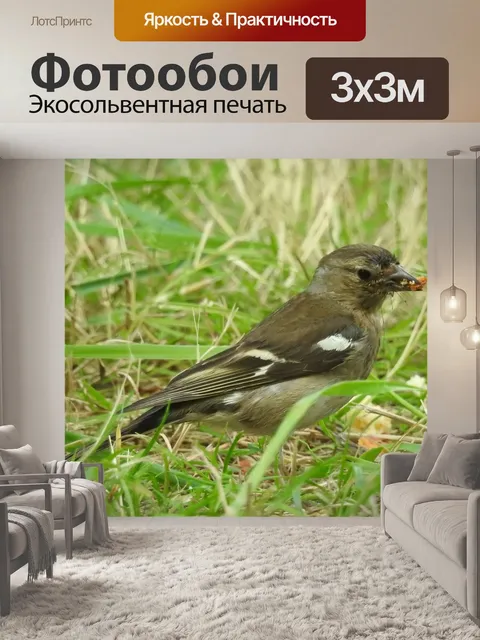 Фотообои Воробей