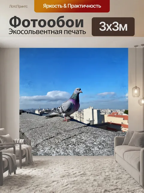 Фотообои голубь, сидящий на старой каменной крыше, мирно разгуливает по ее поверхности, его перья искрятся на солнце…