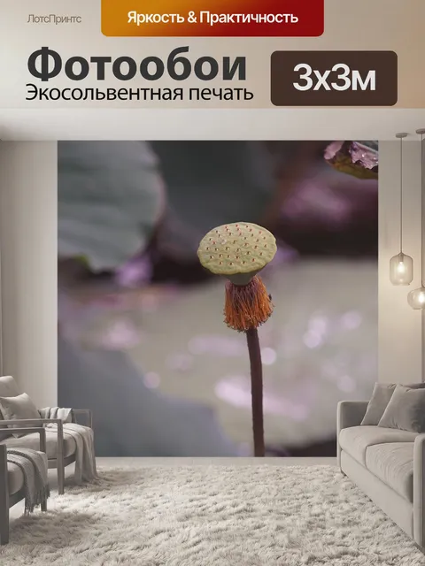 Фотообои Лотос