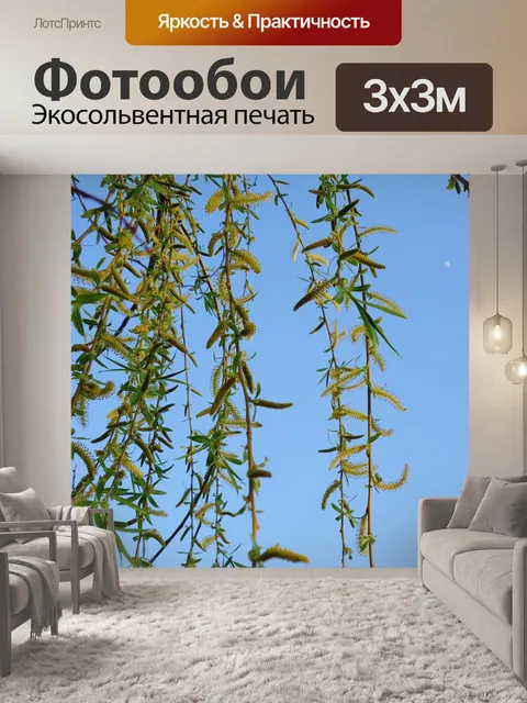 Фотообои Ветви