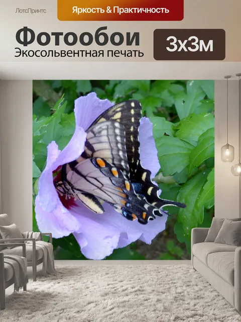 Фотообои Бабочка на цветке