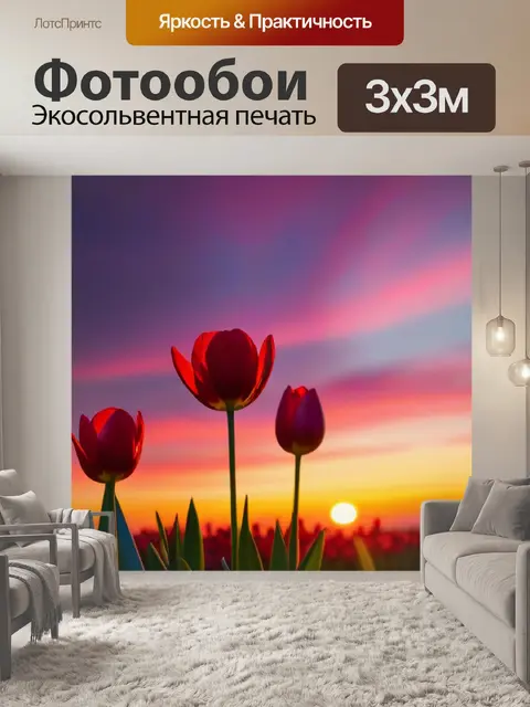 Фотообои тюльпаны на фоне заката