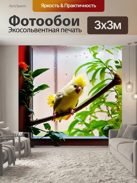 Фотообои корелла, восторженно расправившая свои яркие перья, сидит на ветке у окна, сквозь которое пробивается нежный…