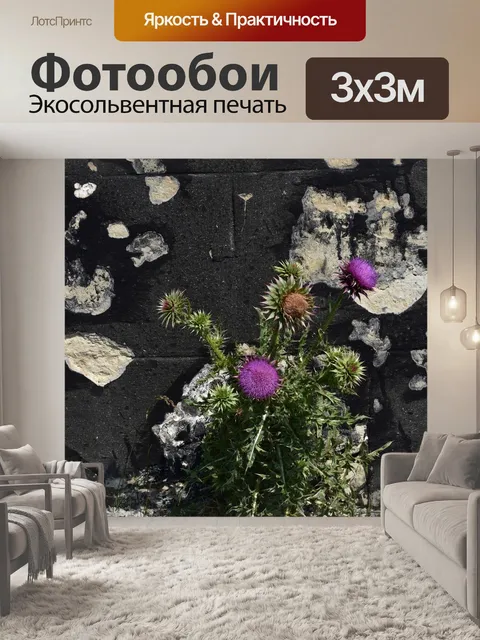 Фотообои Разруха