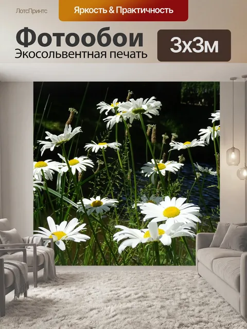 Фотообои Маргаритки
