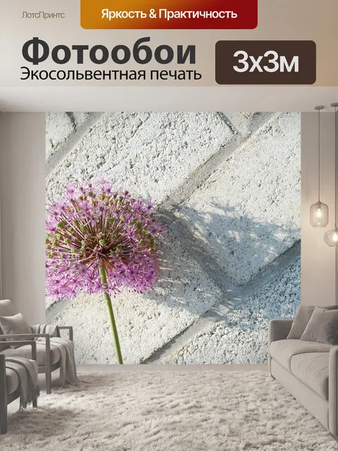 Фотообои Тень