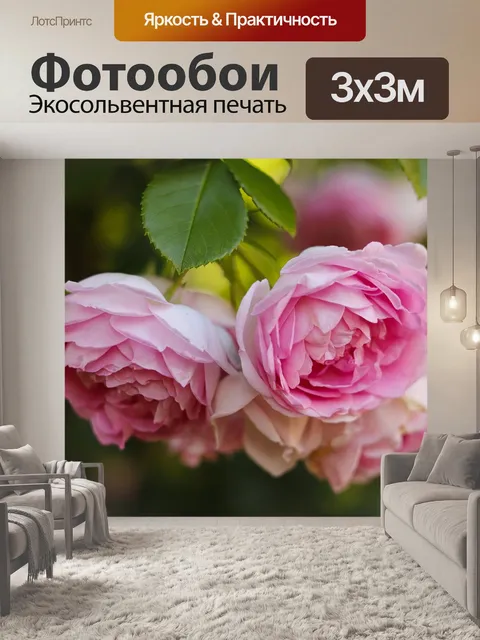 Фотообои Розы