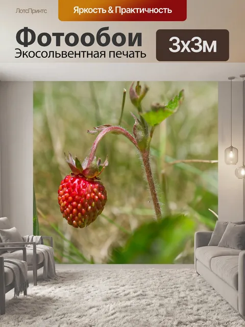 Фотообои Клубника