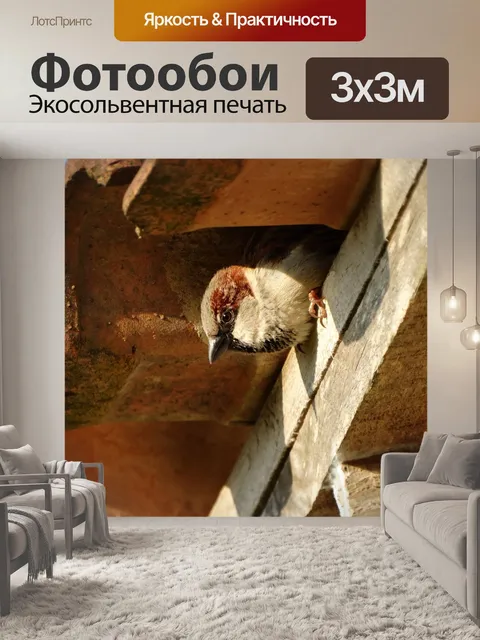 Фотообои Птица