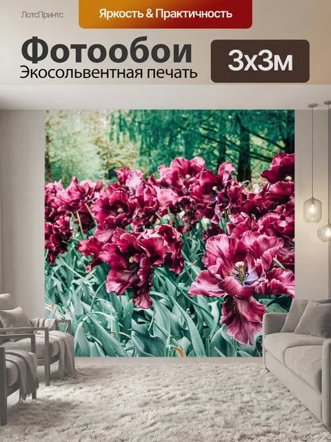 Фотообои Тюльпаны