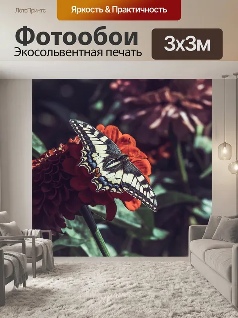 Фотообои Бабочка