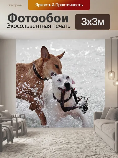 Фотообои Собака