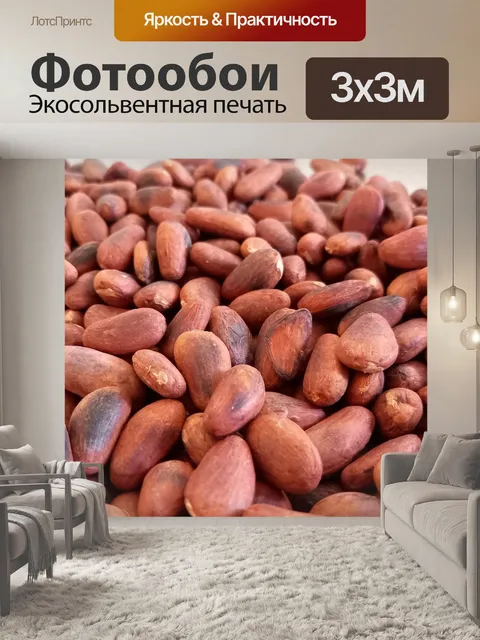 Фотообои Какао