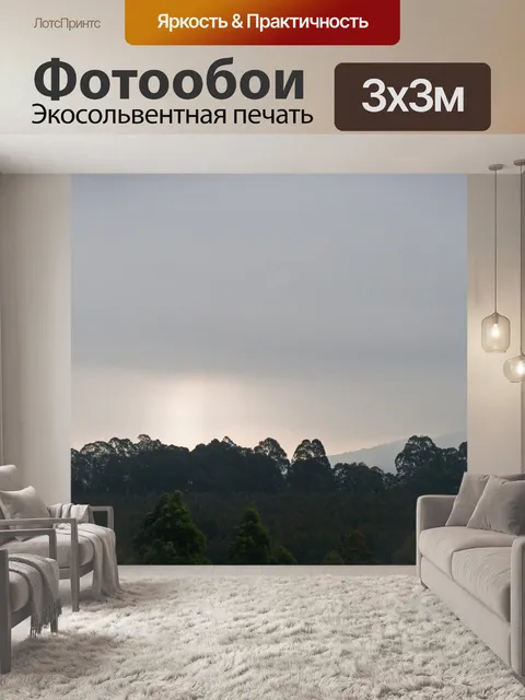 Фотообои пасмурное небо над лесом