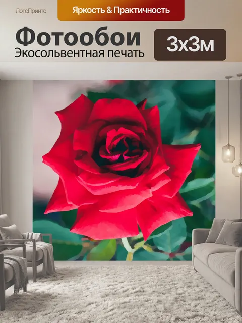 Фотообои Красная роза