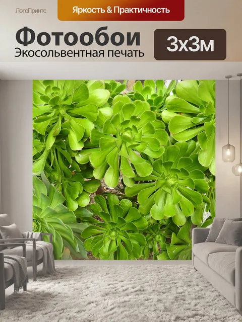 Фотообои Цветы