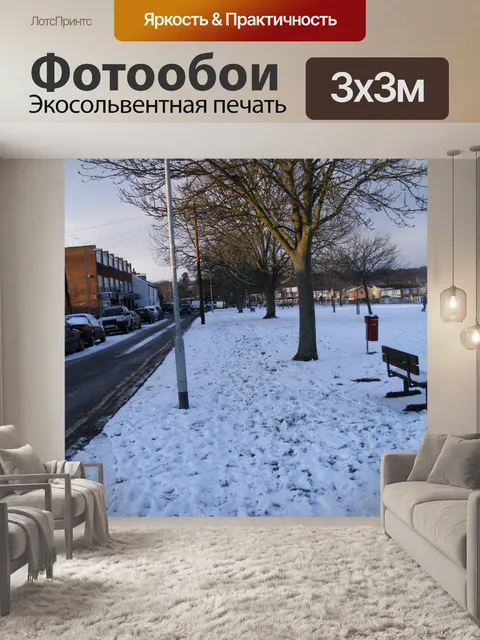 Фотообои Зеленый, дерево, дорога, в снегу, солнеч
