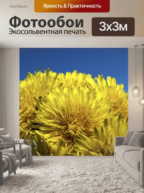 Фотообои Одуванчики
