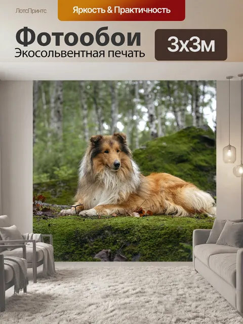 Фотообои Лес
