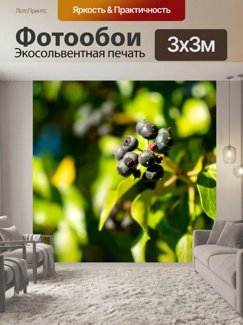 Фотообои Ягоды