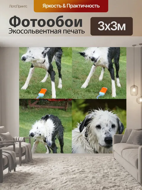 Фотообои Собака