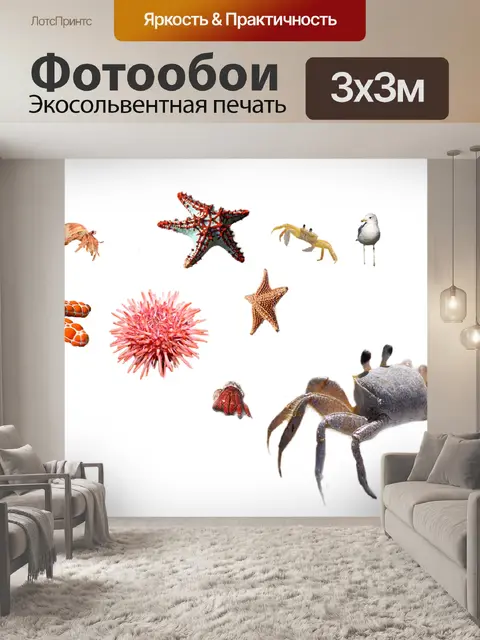 Фотообои Морской ёж