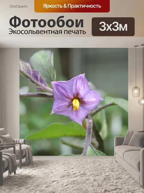 Фотообои Цветок