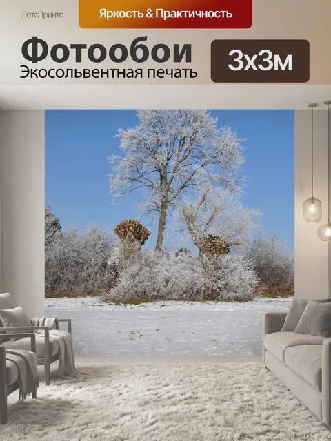 Фотообои Зима