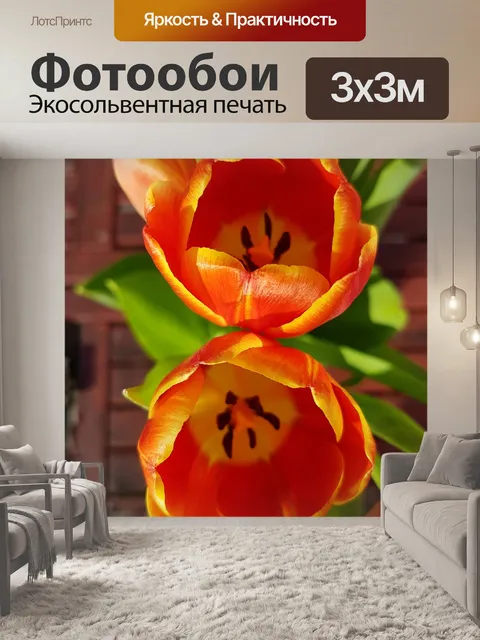 Фотообои Цветы