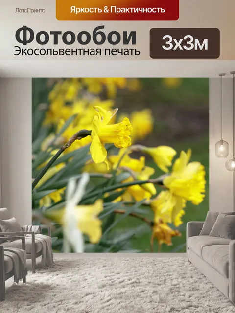 Фотообои Нарциссы Весенние цветы