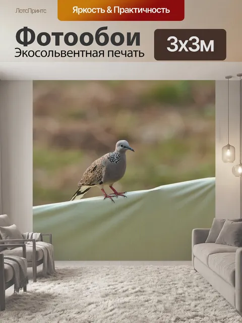Фотообои Птицы