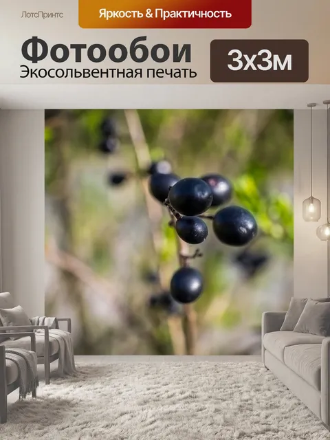 Фотообои Природа