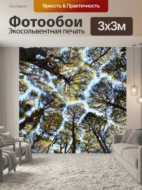 Фотообои Лес